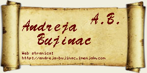 Andreja Bujinac vizit kartica